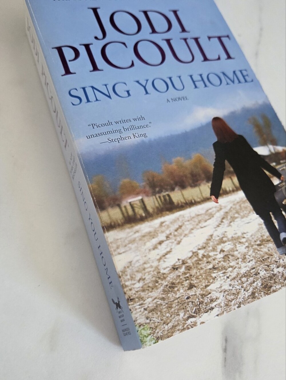 Sing You Home by Jodi Picoult - Picture 2 of 3